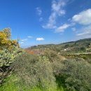 Terreno agricolo in vendita a barcellona pozzo di gotto