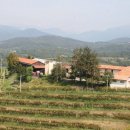 Azienda commerciale in vendita a Cividale del Friuli
