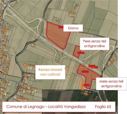 immagine annuncio 1 di 3