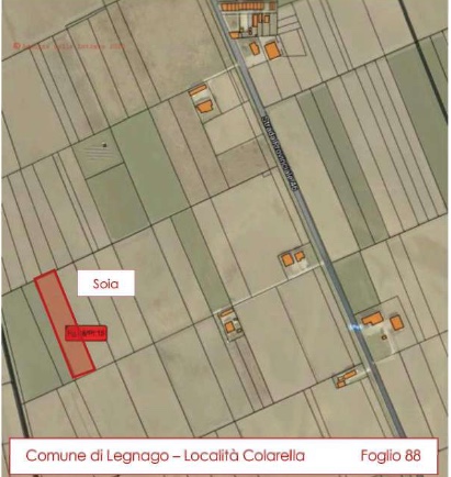 immagine annuncio 3 di 4