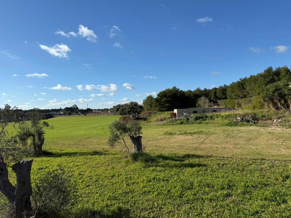 Terreno residenziale in vendita a uggiano la chiesa - Terreno residenziale in vendita a uggiano la chiesa