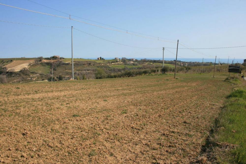 Terreno residenziale in vendita a Massignano - Terreno residenziale in vendita a Massignano