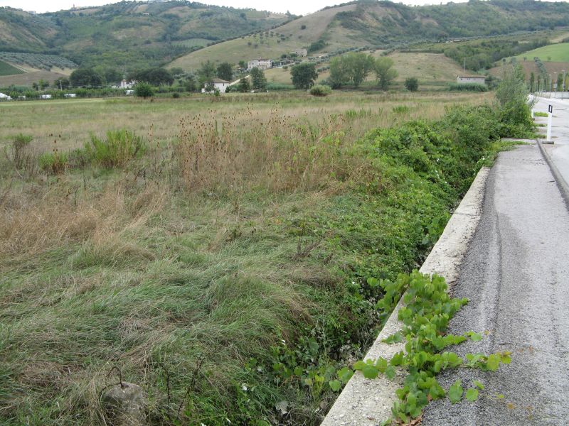 Terreno commerciale in vendita a Controguerra - Terreno commerciale in vendita a Controguerra