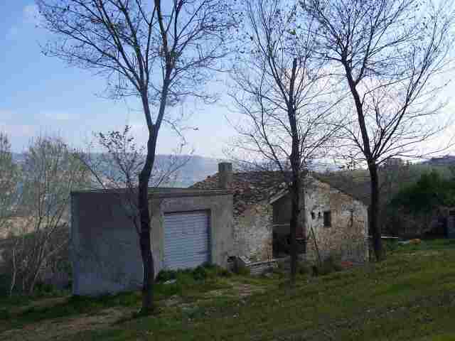 immagine annuncio 2 di 4