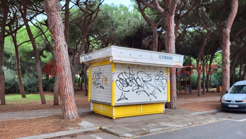 immagine annuncio 2 di 5