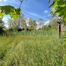 Terreno agricolo in vendita a San Tammaro