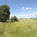 Terreno agricolo in vendita a Viterbo