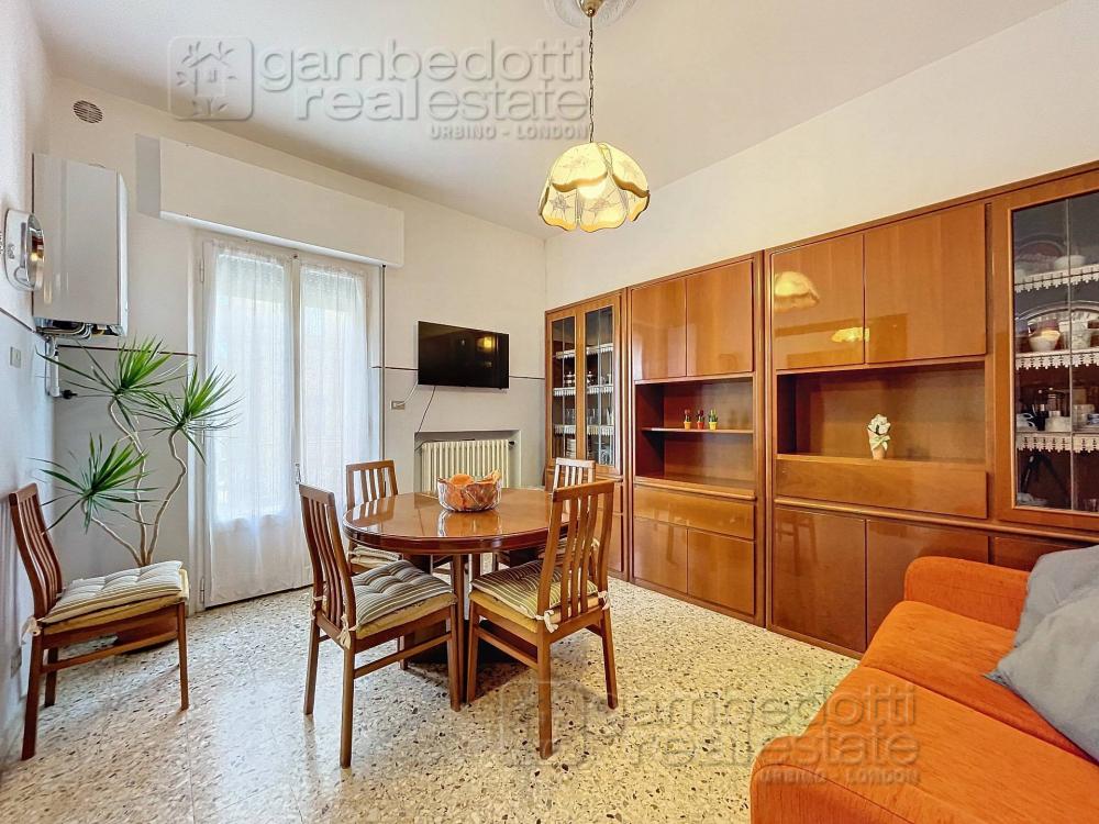 Appartamento quadrilocale in affitto a Urbino - Appartamento quadrilocale in affitto a Urbino