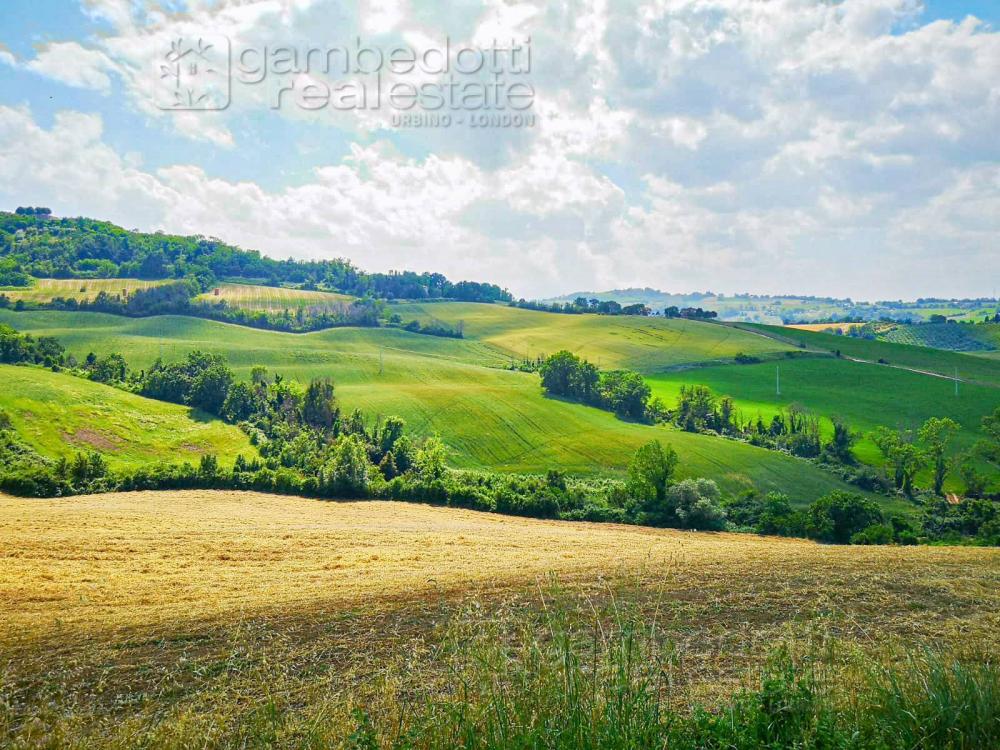 Rustico / casale plurilocale in vendita a - Rustico / casale plurilocale in vendita a