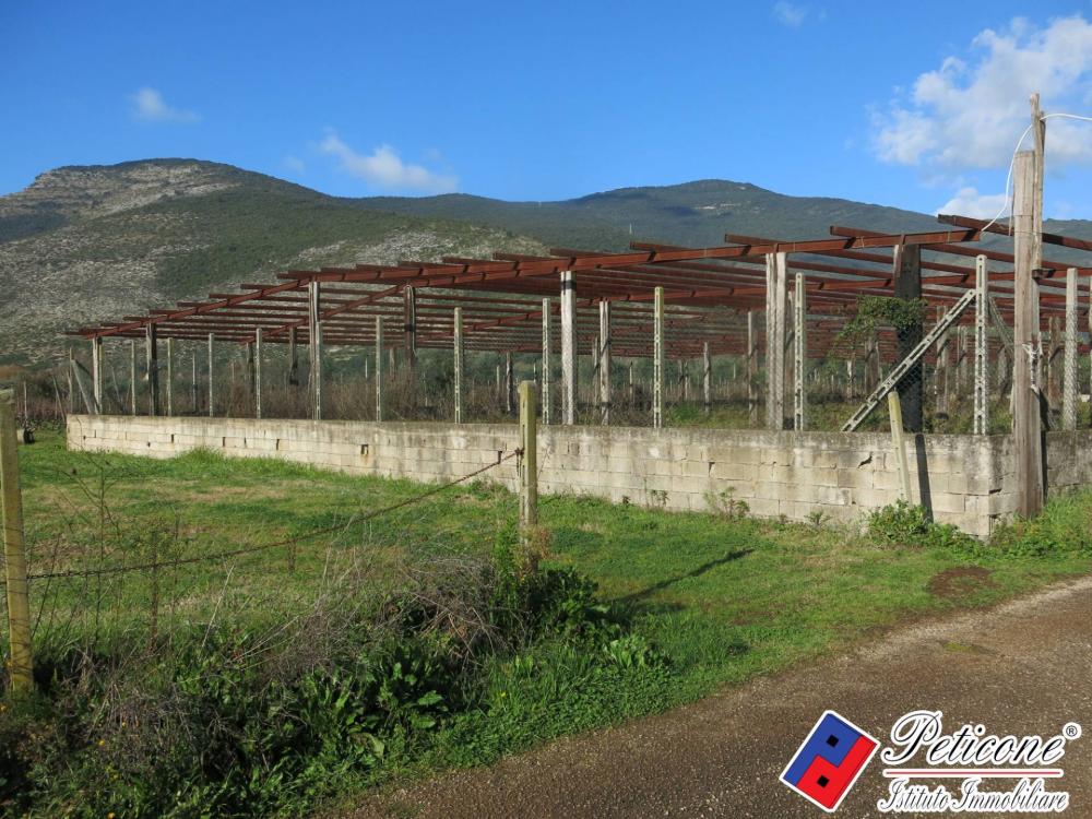 terreno agricolo in vendita a Monte San Biagio