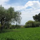 Terreno agricolo in vendita a Pescara