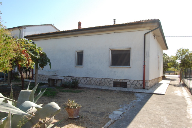 immagine annuncio 2 di 4