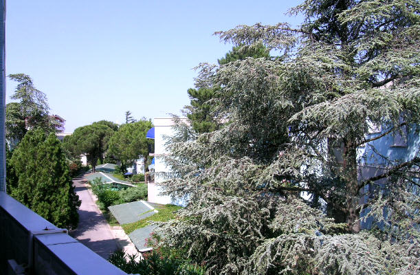 Vista - Appartamento monocamera in affitto a Grado Città Giardino