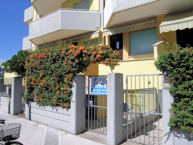 Cond. Rivamare - Appartamento monocamera in affitto a Grado Città Giardino