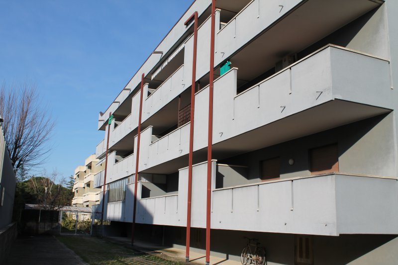 Appartamento monocamera in affitto a Grado Città Giardino - Appartamento monocamera in affitto a Grado Città Giardino