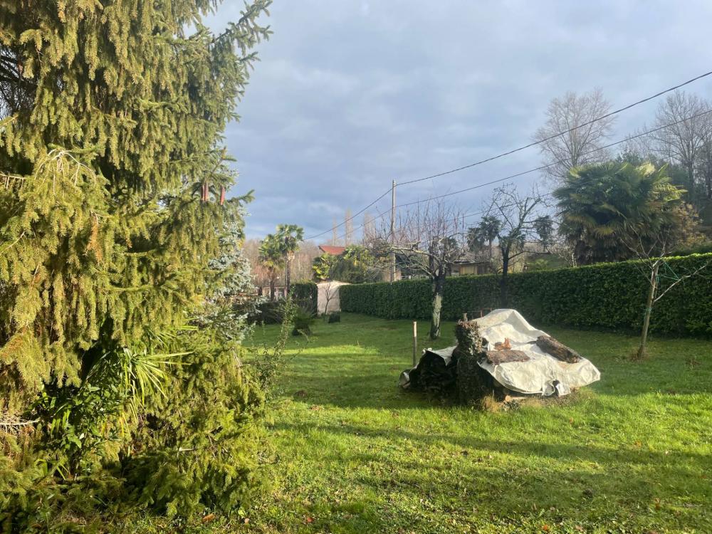 immagine annuncio 1 di 4