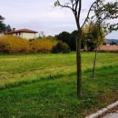Terreno residenziale in vendita a Gradisca d'Isonzo