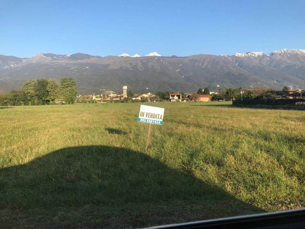 immagine annuncio 1 di 4