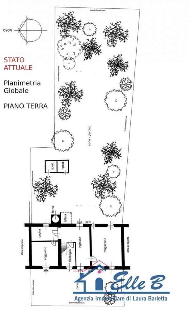 immagine annuncio 1 di 5