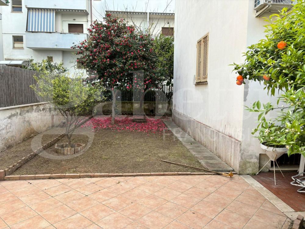 Appartamento quadrilocale in affitto a nettuno - Appartamento quadrilocale in affitto a nettuno