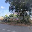 Terreno residenziale in vendita a nettuno