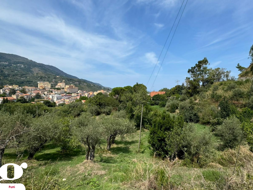 immagine annuncio 1 di 3