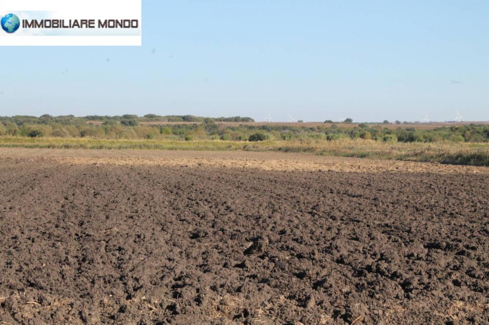 terreno agricolo in vendita a Campomarino