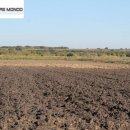 Terreno agricolo in vendita a Campomarino