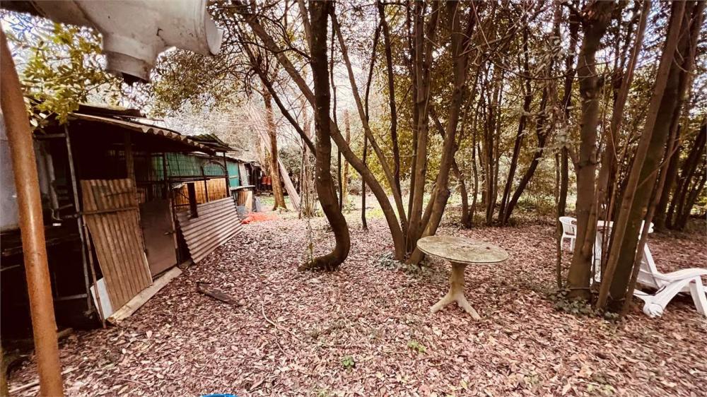 Capannone plurilocale in vendita a Segromigno in monte - Capannone plurilocale in vendita a Segromigno in monte