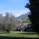 Villa plurilocale in vendita a Segromigno in monte