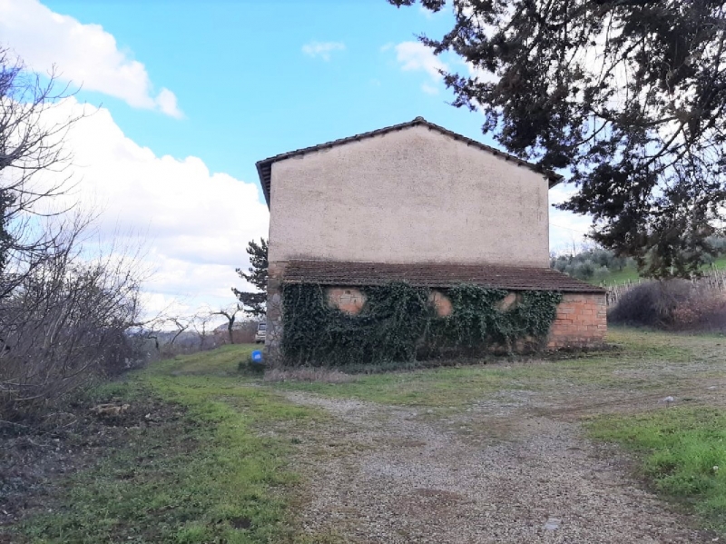 casa in vendita a Castel Viscardo