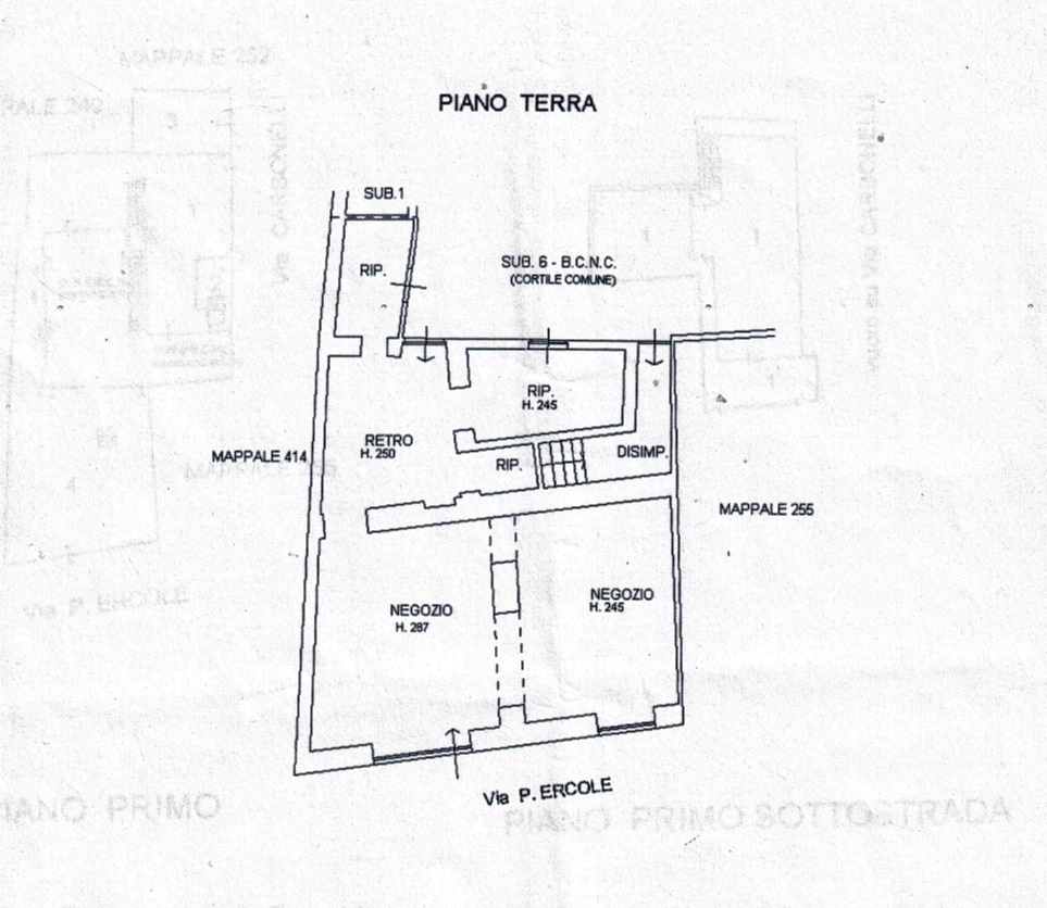 Azienda commerciale in vendita a Felizzano - Azienda commerciale in vendita a Felizzano