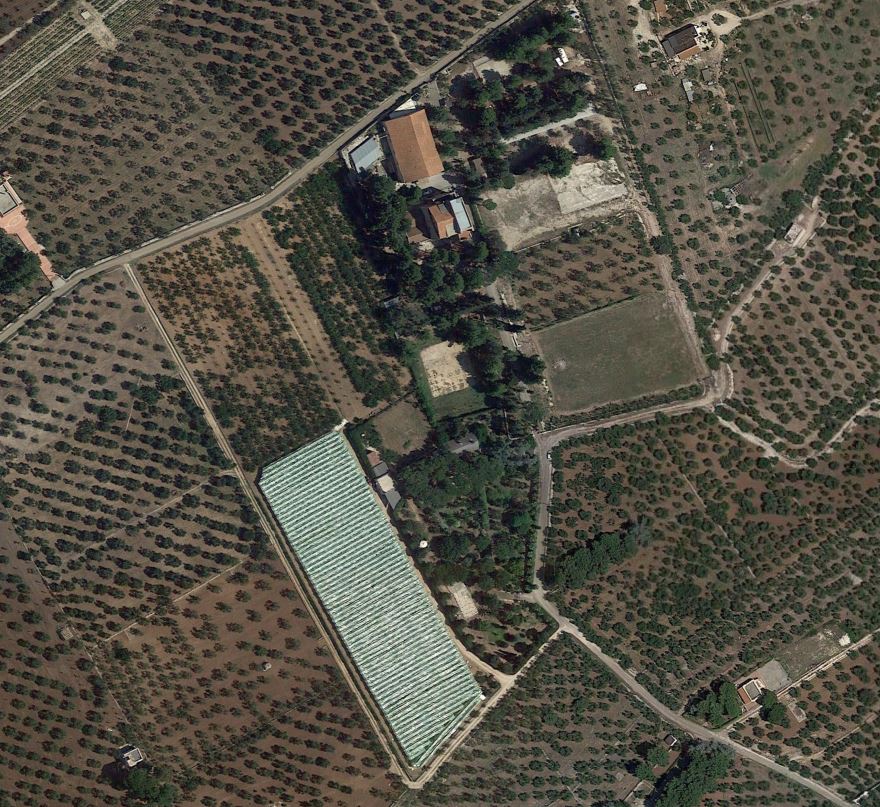 Terreno agricolo in vendita a Ruvo di Puglia - Terreno agricolo in vendita a Ruvo di Puglia
