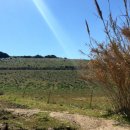 Terreno agricolo in vendita a Serdiana Sardegna, Sardahousing
