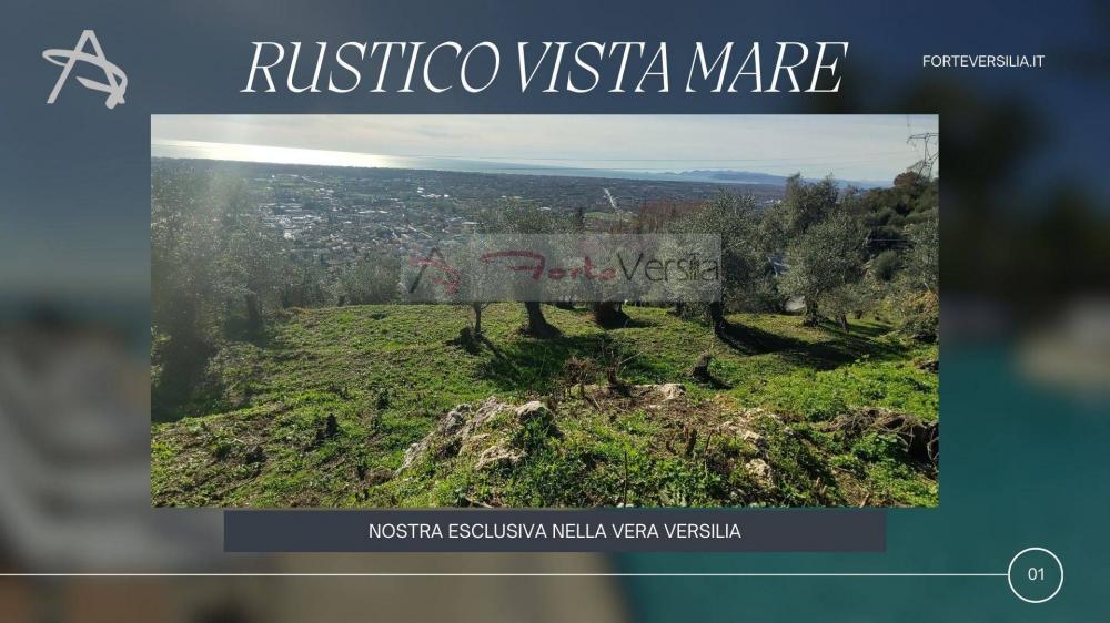 Rustico / casale trilocale in vendita a Montignoso - Rustico / casale trilocale in vendita a Montignoso