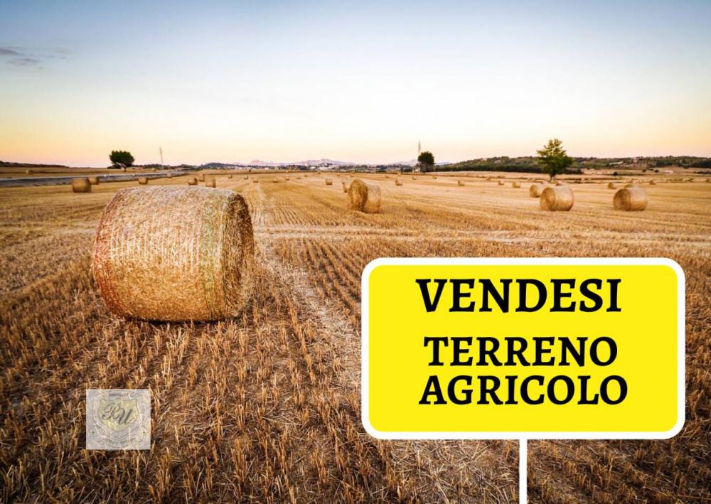 Terreno agricolo in vendita a Premariacco - Terreno agricolo in vendita a Premariacco