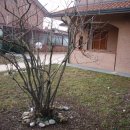 Villa quadrilocale in vendita a Seregno