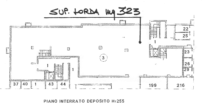 immagine annuncio 2 di 3