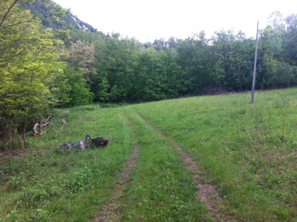 immagine annuncio 3 di 5