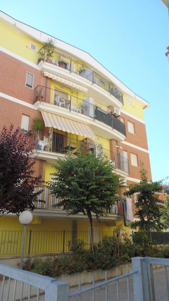Appartamento quadrilocale in vendita a Alba Adriatica - Appartamento quadrilocale in vendita a Alba Adriatica