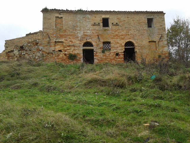 immagine annuncio 2 di 4