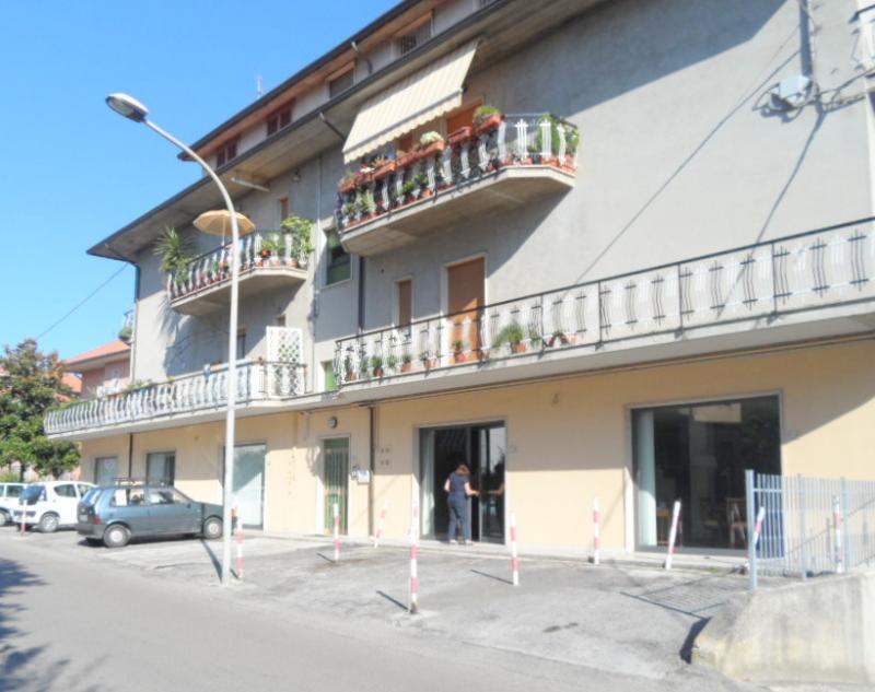 immagine annuncio 2 di 4