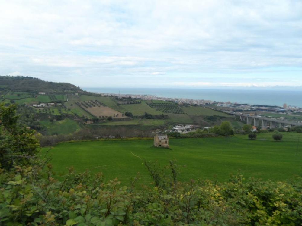 terreno agricolo in vendita a Porto d'ascoli