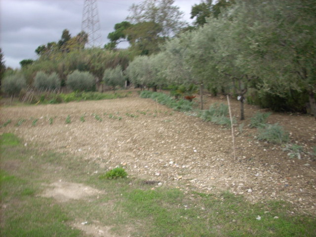 immagine annuncio 2 di 4