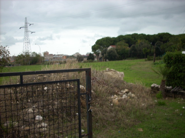 immagine annuncio 3 di 4