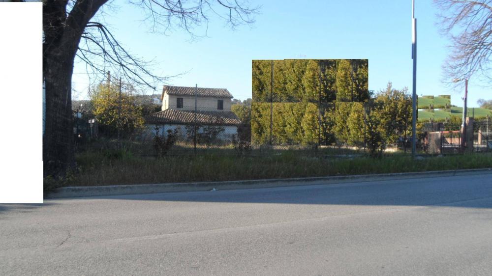 immagine annuncio 1 di 2
