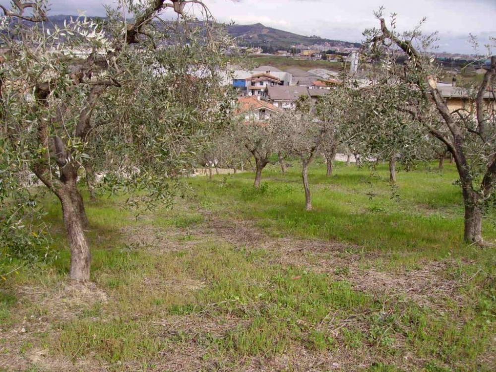 immagine annuncio 1 di 4