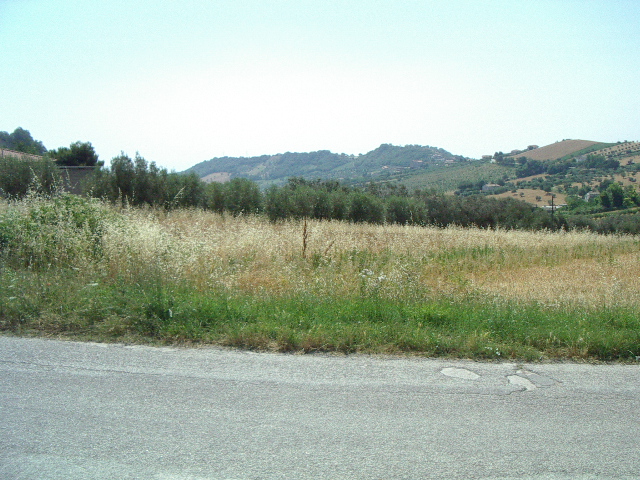 immagine annuncio 1 di 3