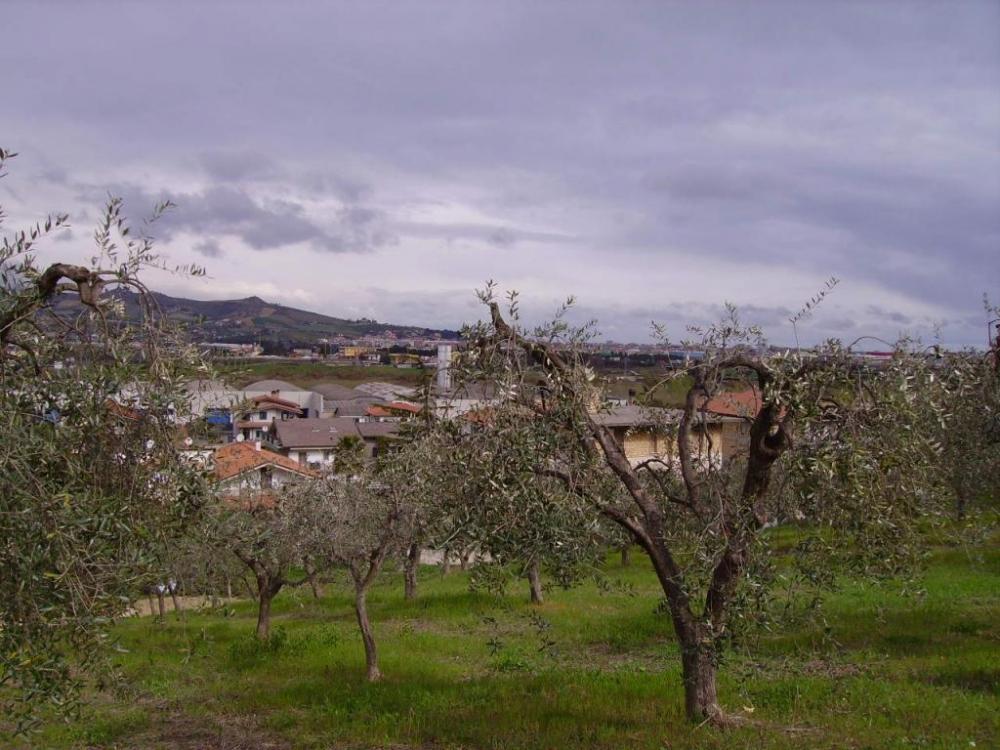 immagine annuncio 2 di 4