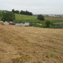Terreno residenziale in vendita a Bellante